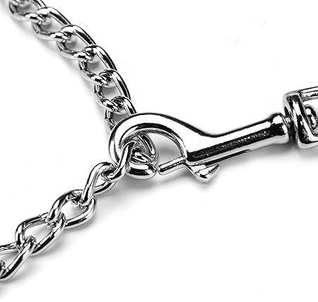 Heavy Duty Silver Metal Dog Leash Chew Proof Chain 155cm for Small and Large Bulldogs