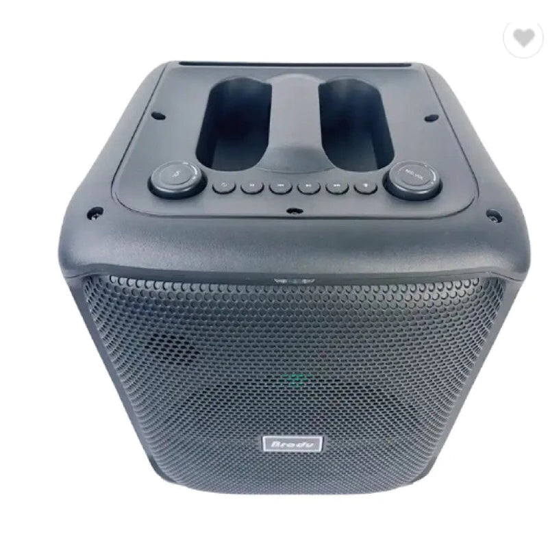 Brodu BTS 1740 Bluetooth karaoke speaker with Free 2 Microphone