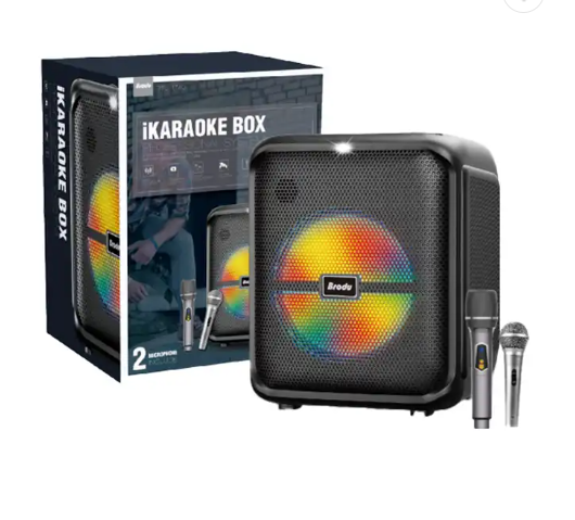 Brodu BTS 1740 Bluetooth karaoke speaker with Free 2 Microphone