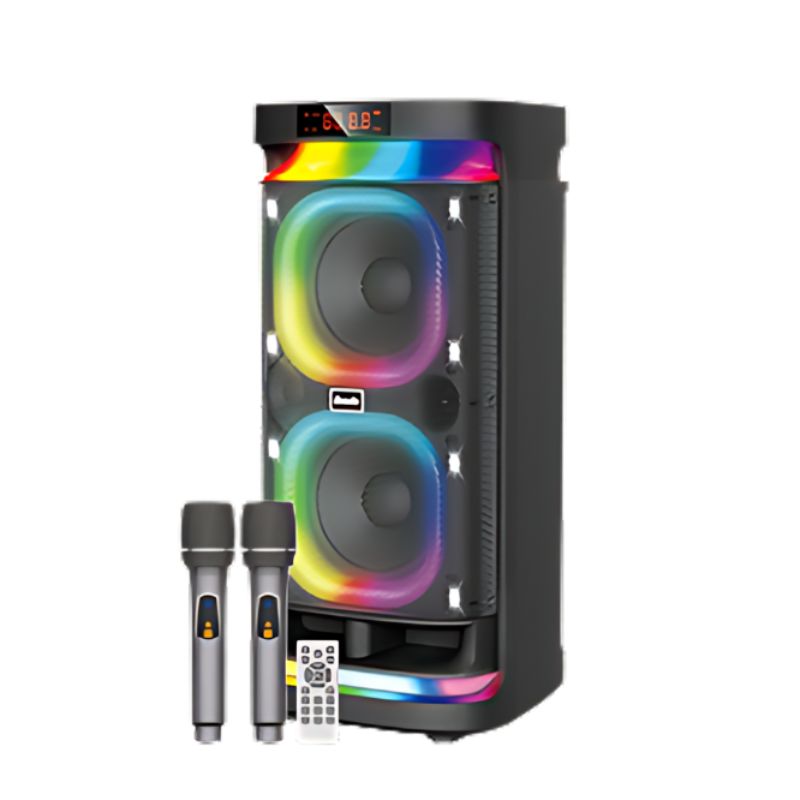Brodu BTS-1990 Double 8 Inch Portable Bluetooth Speaker with Wireless Mic and Rechargeable Battery