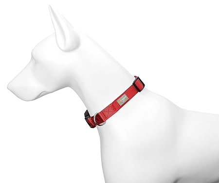 Adjustable Dog Collar 35cm to 55cm Puppy Neck Belt for Small Medium Dogs