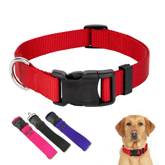dog collar sri lanka, adjustable pet collar sri lanka, puppy neck belt sri lanka, dog belt 35cm to 55cm sri lanka, pet accessories sri lanka, dog neck belt sri lanka, dog collar for small dogs sri lanka, medium dog collar sri lanka, pet leash collar sri lanka, dog walking gear sri lanka

