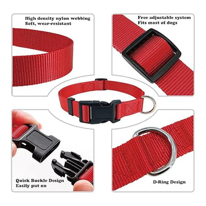 Adjustable Dog Collar 35cm to 55cm Puppy Neck Belt for Small Medium Dogs
