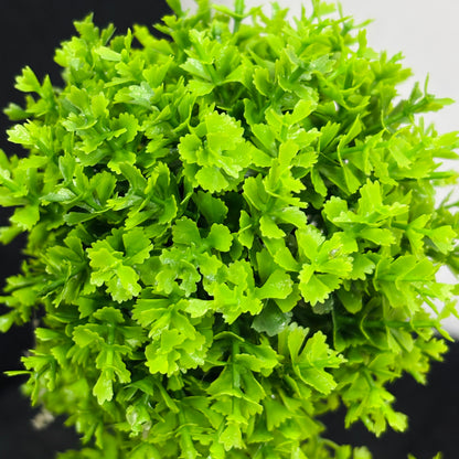 Artificial Bonsai Tree in White Pot Faux Greenery Desk Plant for Home & Office Ornaments Pots for Indoor Desk Plant