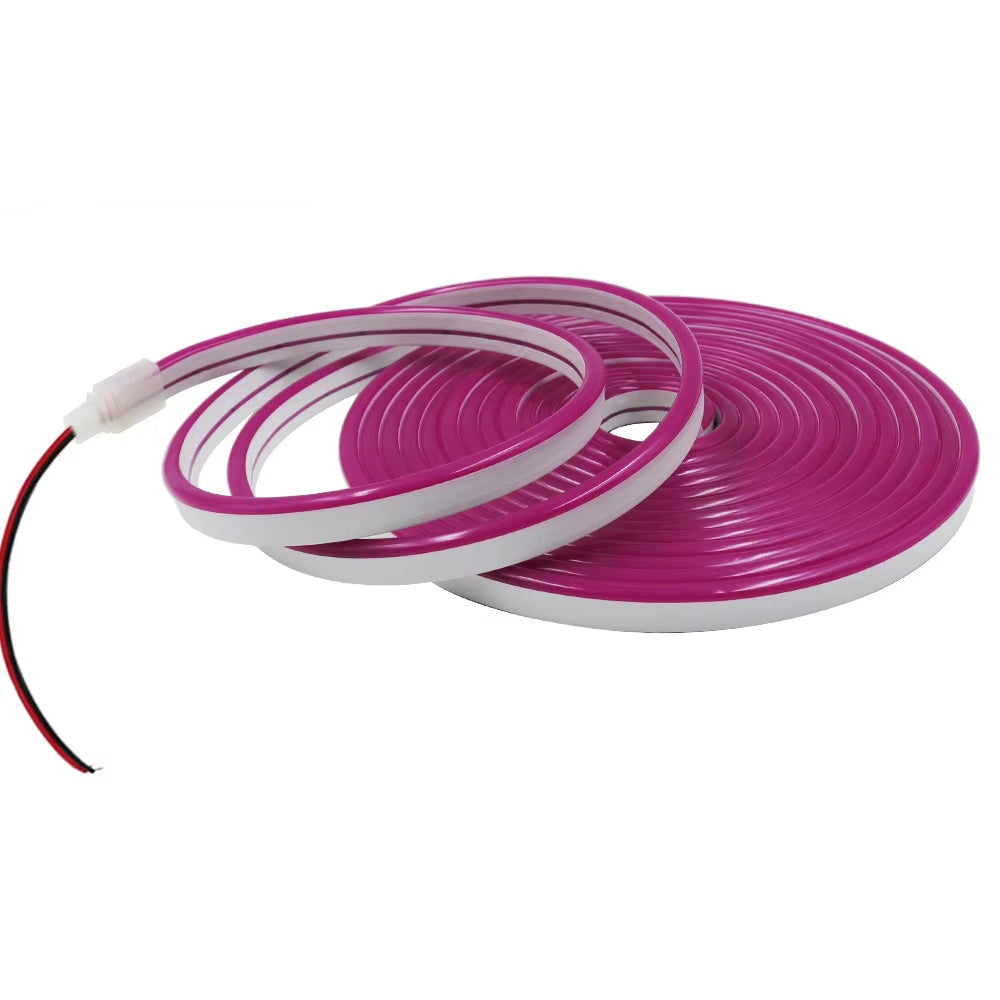 5m DC 12V LED Neon Strip Waterproof Single Colour Flexible Tape Light Red, Green, Blue, White, Warm, Yellow, Pink, Purple