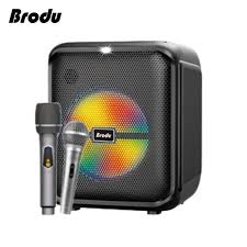 Brodu BTS 1740 Bluetooth karaoke speaker with Free 2 Microphone