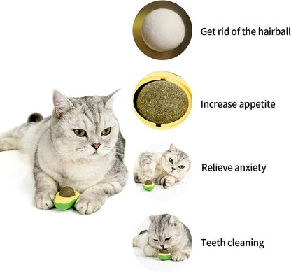 Avocado Shape Cat Toy Fun and Interactive Plush Toy for Cats