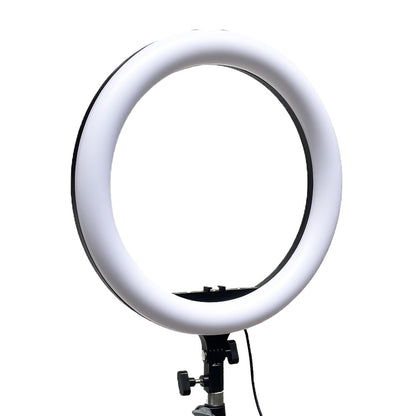 Plokama 8Ft Tripod with 14 Inch RGB Ring Light Adjustable 2.43m Stand for Camera and Mobile