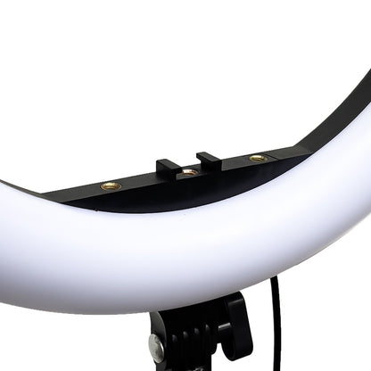 Plokama 8Ft Tripod with 14 Inch RGB Ring Light Adjustable 2.43m Stand for Camera and Mobile